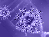 【Cyagen White Paper】SARS-CoV-2에 대하여: 바이러스의 기원부터 현재의 연구 현황까지