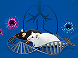 Cyagen White Paper: Insights on the Infection and Immune Mechanisms of COVID-19