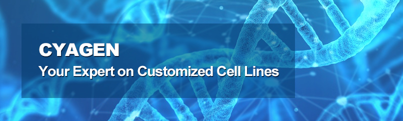 Customized Cell Lines