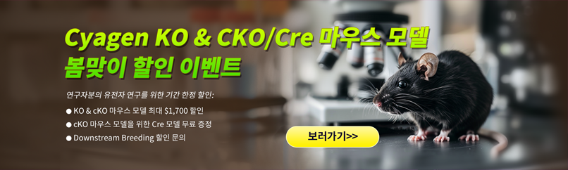 KO & CKO/Cre 마우스 모델 봄맞이 할인 이벤트