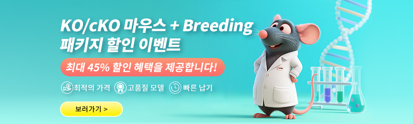 패키지 할인
