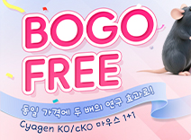 BOGO 이벤트: Buy 1 KO/cKO Mouse, Get 1 FREE!
