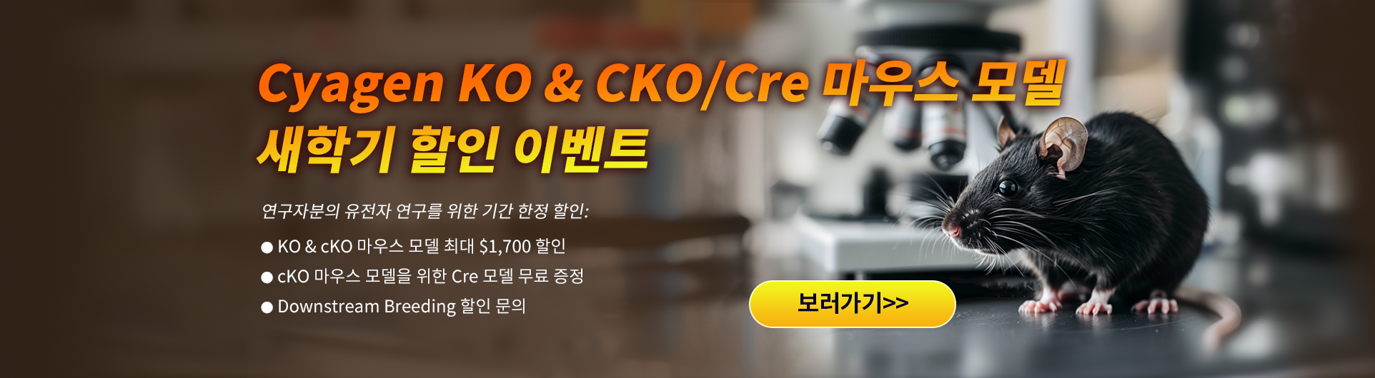 KO & CKO/Cre 마우스 모델 봄맞이 할인 이벤트