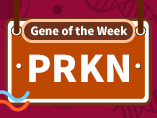 [Gene of the Week] 파킨슨병 병원성 유전자 - PRKN