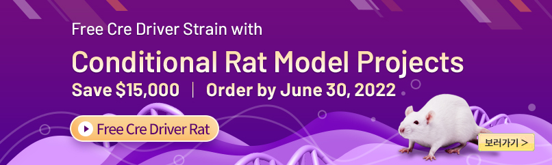 Conditional Rat Model Projects