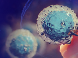 CAR-T 세포 요법의 핵심 단계: CAR 분자 구조