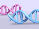 유전자 조절 메커니즘을 연구하는 필수 방법