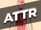트랜스티레틴 아밀로이드증(ATTR) 치료제 개발에서 hTTR 및 hTTR V50M 인간화 마우스 모델의 가치