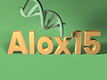 강력한 지질 대리 가공——Alox15