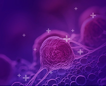 암 퇴치를 위한 CAR-T 세포 치료 연구 가속화