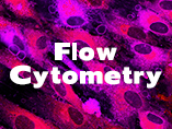 CAR-T 임상 연구 개발 전에 유세포 분석(Flow Cytometry)의 응용