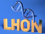 Leber 유전성 시신경병변(LHON)
