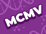 실험동물에서 흔히 볼 수 있는 병원체——마우스 거세포바이러스 MCMV