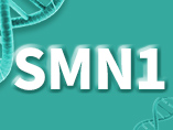 희귀병 척수성근위축질병유전자 SMN1