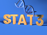 건선의 중요한 표적 유전자——STAT3