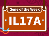 [Gene of the Week] 면역 및 염증 연구 분야에서 인기있는 유전자 IL17A