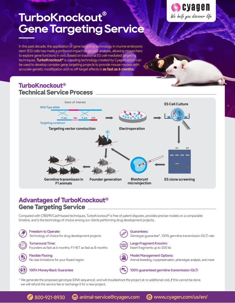cyagen TurboKnockout Gene Targeting Services