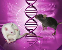 Cyagen 유전자 편집 마우스 조력생식 연구 | 고객 문헌 모음