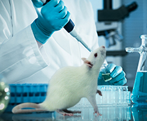 Behavioral Test Solutions for Rat and Mouse Models