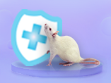 빅 마우스(Rat) 건강을 지키는 것, 우리 모두의 책임!