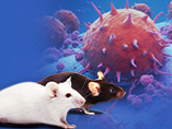 희귀 질환 연구와 관련된 유전자 변형 마우스 모델 - 면역 체계의 희귀 질환