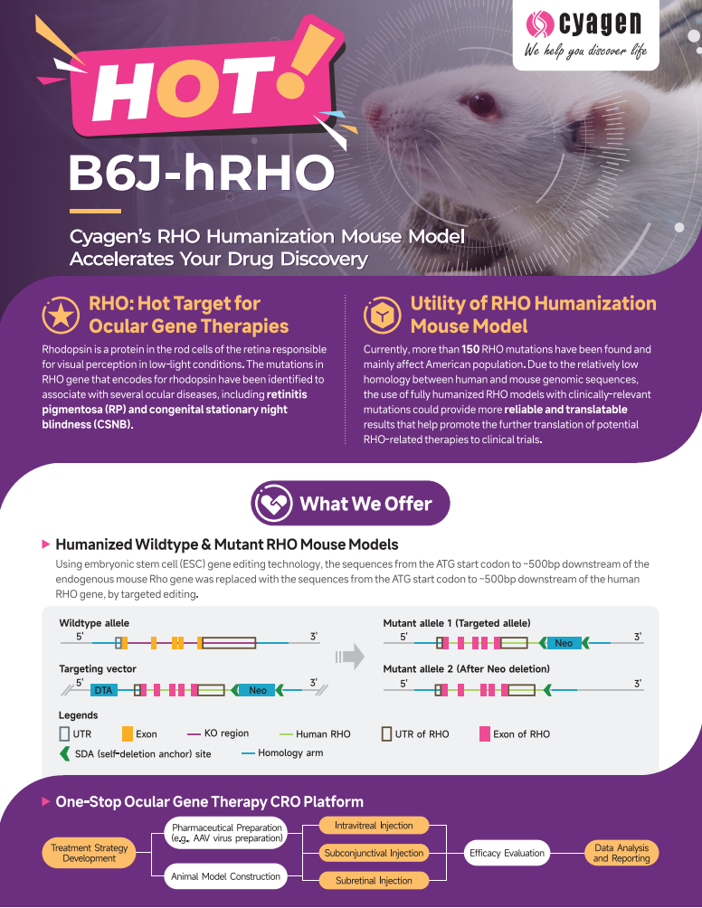 cyagen RHO Humanization Mouse Model
