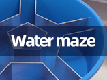 모리스 수중 미로(Morris water maze)란 무엇인가？