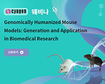 게놈 의인화 생쥐 모델: 생성 및 생물의학 연구에서의 응용