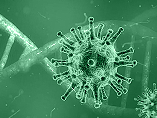 How does coronavirus invade cells? How can we respond to it ?